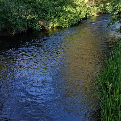 20250528_064000.jpg