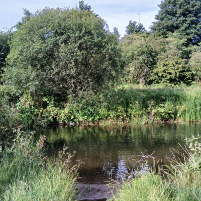 20250709_081425.jpg