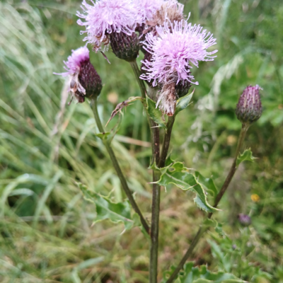 20250626_063913.jpg