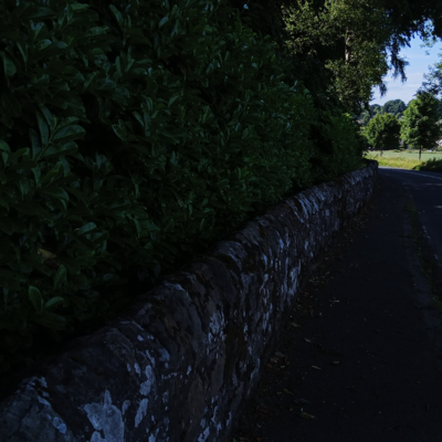 20250629_170134.jpg